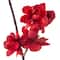 12 Pack: Red Apple Blossom Branch Spray by Ashland®